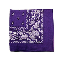 Load image into Gallery viewer, Unibasic Paisley Cotton Bandana XL, head wrap, handkerchief - 10 Pack
