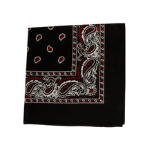 Load image into Gallery viewer, Mechaly Paisley 100% Cotton Bandanas - 6 Pack
