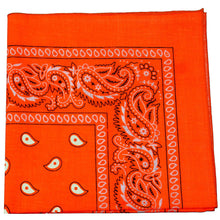 Load image into Gallery viewer, Pack of 12 Paisley Cotton Bandanas Novelty Headwraps - Dozen Available in Many Colors - 22 inches
