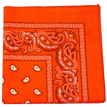 Load image into Gallery viewer, Pack of 36 Cotton 22 x 22 Inch Paisley Printed Bandana
