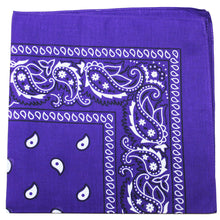 Load image into Gallery viewer, Pack of 96 Qraftsy Unisex Paisley Cotton Bandanas - Wholesale Lot

