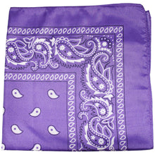 Load image into Gallery viewer, Mechaly Paisley 100% Polyester Unisex Bandanas - 50 Pack - Bulk Wholesale
