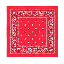 Load image into Gallery viewer, 12-Pack Paisley 100% Cotton Double Sided Bandanas
