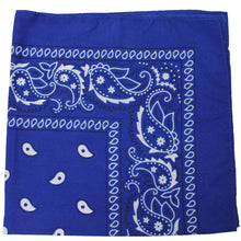 Load image into Gallery viewer, Mechaly Pack of 18 Cotton X-Large Paisley and Plain Printed Bandana

