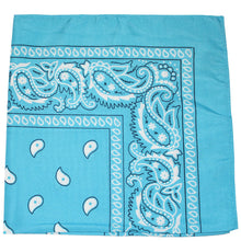 Load image into Gallery viewer, 12 Pack Cotton 22 x 22 Inch Paisley Printed Bandana
