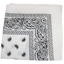 Load image into Gallery viewer, 12 Pack Cotton 22 x 22 Inch Paisley Printed Bandana
