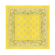 Load image into Gallery viewer, Paisley Polyester Unisex Bandanas - Pack of 20 - Bulk Wholesale
