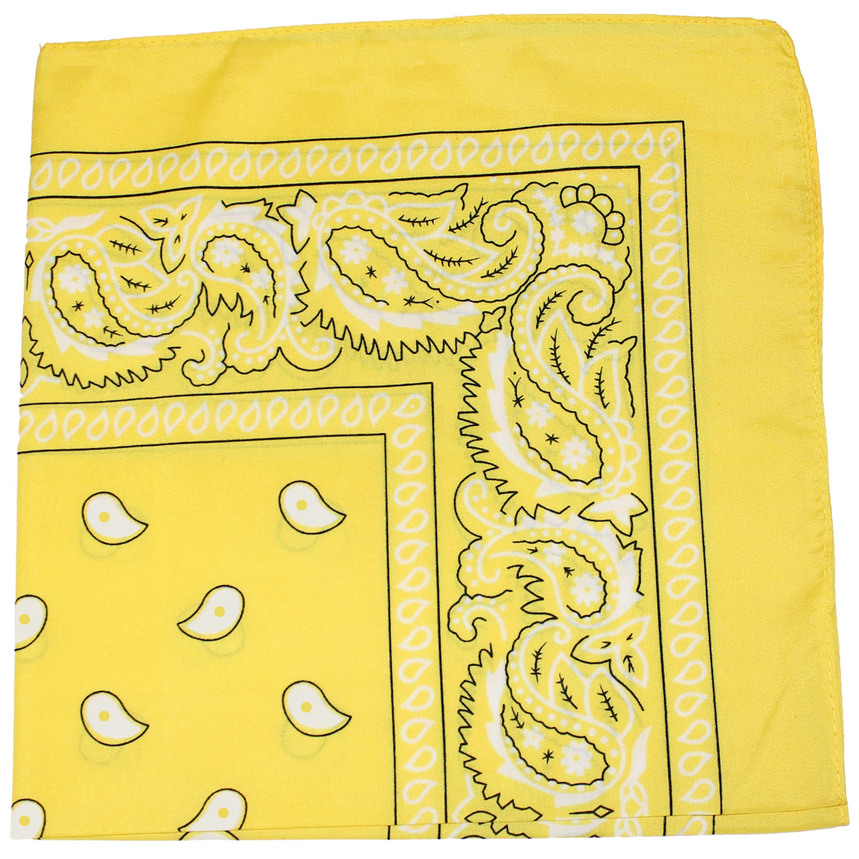 Paisley 100% Cotton Double Sided Bandana - 22 inches